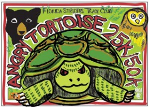 angry-tortoise25k-flyer-d5